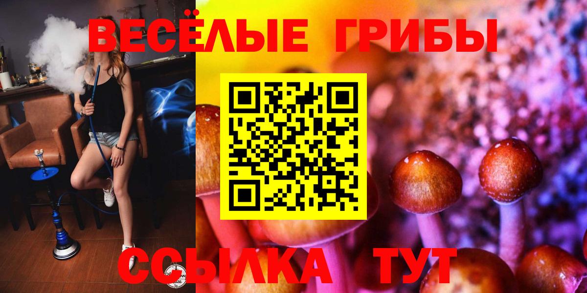 Псилоцибиновые грибы прущие грибы Кизилюрт
